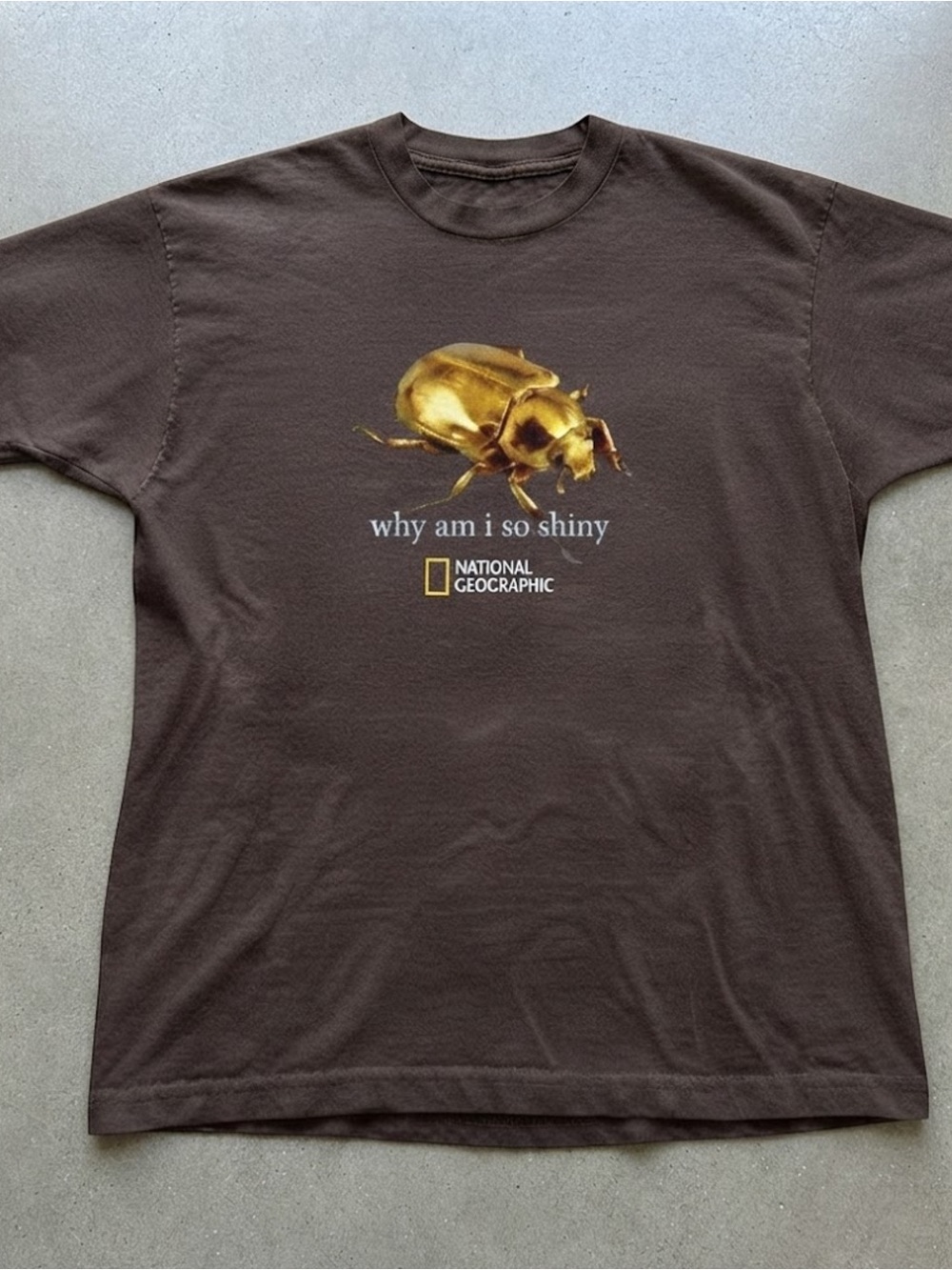 National Geographic Shiny Gold Beetle Graphic Gildan T-Shirt Brown
